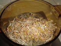 家常菜肉丝炒豆芽做法图解3)