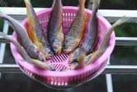 香酥小黄鱼自制做法图解5)