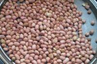 下酒菜芹菜叶拌花生米做法图解1)