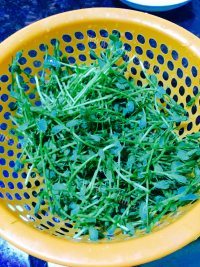 简单美味白灼豌豆苗做法图解2)