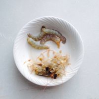 别样的海虾炒饭做法图解2)