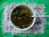 自制鱼腥草茶