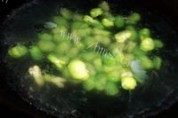 家常菜培根炒蚕豆做法图解1)