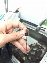 美味香辣啤酒小龙虾做法图解6)
