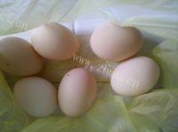 绿色食物煎荷包蛋做法图解1)