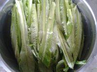 在家做的蒜蓉油麦菜做法图解1)