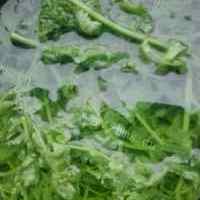 美味的清炒野生水蕨菜的做法图解二