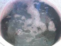 自己做的红酒雪梨做法图解6)