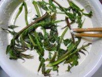 简易炸香椿芽做法图解10)