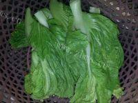 家常菜清炒芥菜做法图解1)