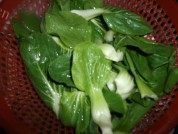 家常菜蒜蓉上海青做法图解1)
