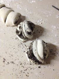 自制黑芝麻花卷做法图解9)