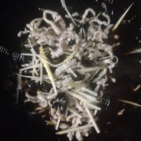 芳香四溢的鱼香肉丝做法图解5)