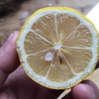 芳香四溢的蜂蜜柚子茶的做法图解十