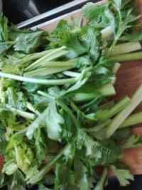 家常菜肉炒芹菜做法图解1)