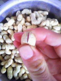 下酒菜水煮花生做法图解2)