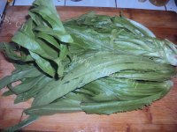 家常菜蒜蓉油麦菜做法图解1)