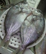 豆酱鱼做法图解1)