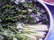 家常菜香菜炒肉丝做法图解1)
