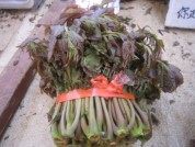 家常菜香椿芽炒蛋做法图解1)