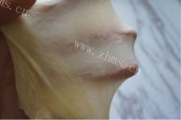 好吃的肉松面包做法图解5)