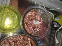 好吃的血鳝饭做法图解1)