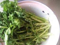 家常菜清炒苔菜做法图解1)