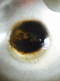 美味的经典红烧肉做法图解4)