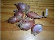 香气浓郁的台式肉燥饭做法图解1)