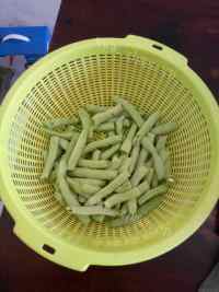 色泽鲜亮的干煸四季豆做法图解1)