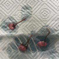 香甜的樱花冰粉粉做法图解6)