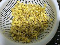 家常菜黄豆芽炒肉丝做法图解1)