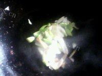 自制炒菜青椒肉片做法图解4)