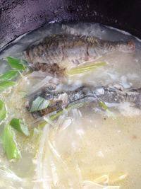 家常鲫鱼萝卜丝汤