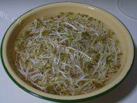 家常菜素炒绿豆芽做法图解2)