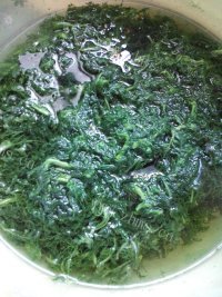 美味的麦蒿大包子做法图解1)