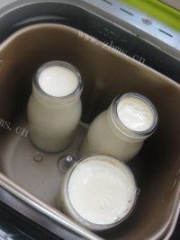 质嫩的原味酸奶做法图解5)