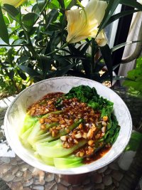家常菜蒜蓉蚝油生菜