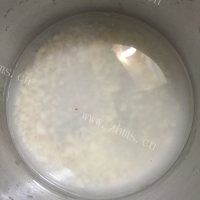 养生枸杞山药粥做法图解5)