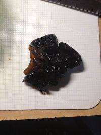 很有食欲的酸辣包菜丝做法图解2)