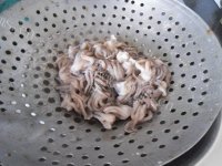 别出心裁的韭菜炒海兔须做法图解4)