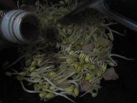 百吃不厌的五花肉炒黄豆芽做法图解6)