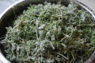 口感丰厚的蒸白蒿做法图解6)