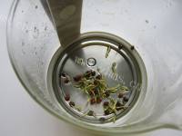 清热解渴的金银花胎菊茶做法图解3)