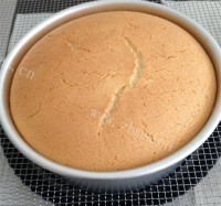 自制戚风蛋糕做法图解18)