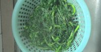 美味营养的蒜蓉皇帝菜做法图解4)