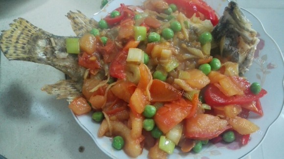 松鼠桂鱼
