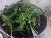 家常菜蒜香菠菜做法图解4)