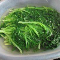 肉末雪里蕻自制做法图解2)