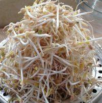 炸酱拌胡萝卜豆芽菜做法图解1)
